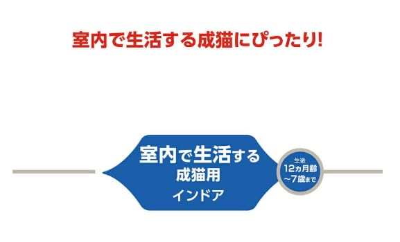 Royal Canin Indoor Cat 2Kg X 2 New Package