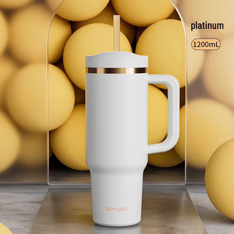 Schmidt 316L Stainless Steel Insulated Mug with Straw