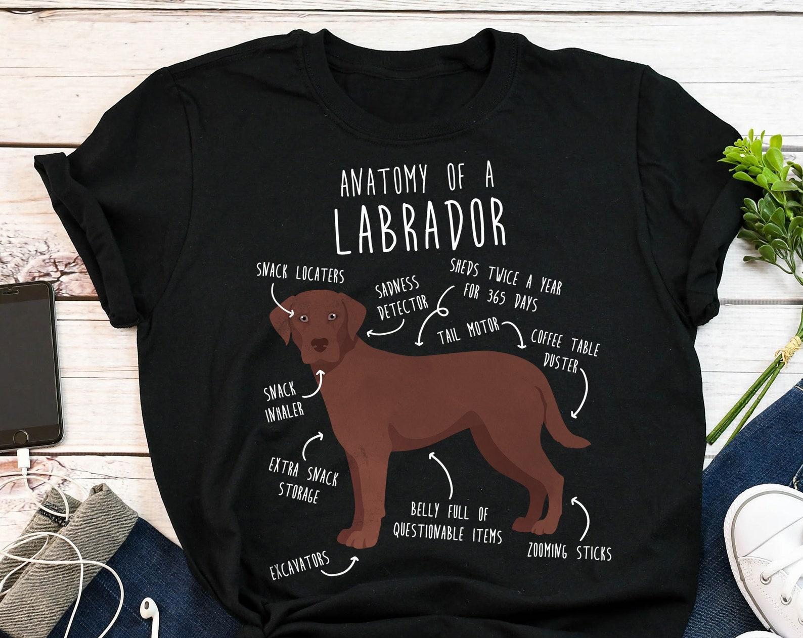 Chocolate Labrador Retriever Shirt, , , Funny Dog Lover Gift, Cute Lab Mom Dad T-shirt, Dog Tshirt, Pet Tee, Dog Anatomy Humor 100