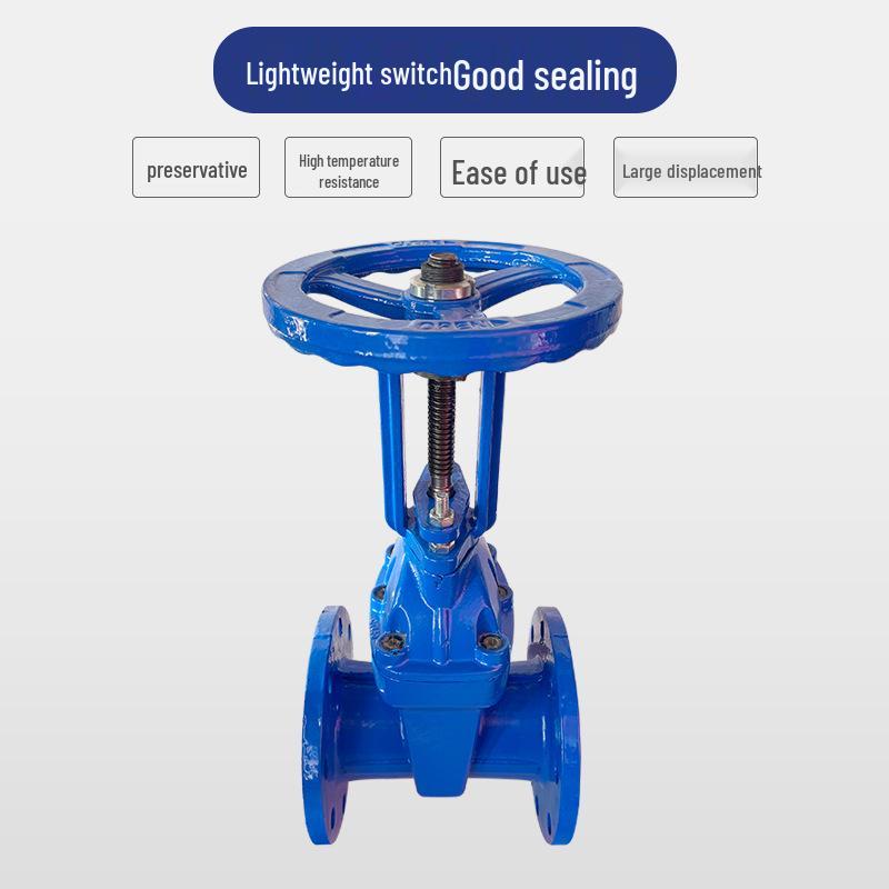 Z41X-16 DN100 Manual Rising Stem Elastic Seat Flanged Gate Valve for Tap Water