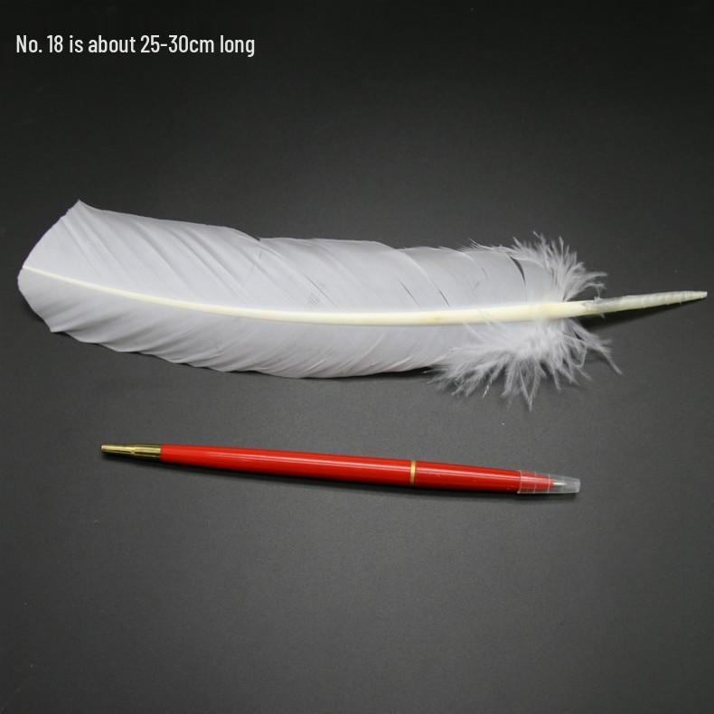 White Feathers for DIY Handmade Clothing & Jewelry Accessories