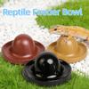 Plastic Reptile Feeder Bowl Round Pet Feeder Basin Food Container Reptile Water Pot  for Amphibians