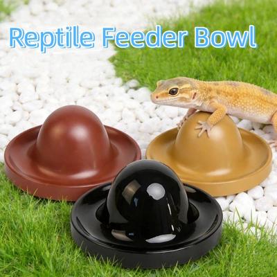 Kunststoff Reptilien Futter Napf Rund Haustier Futter Napf Futter Behälter Reptilien Wasser Napf für Amphibien