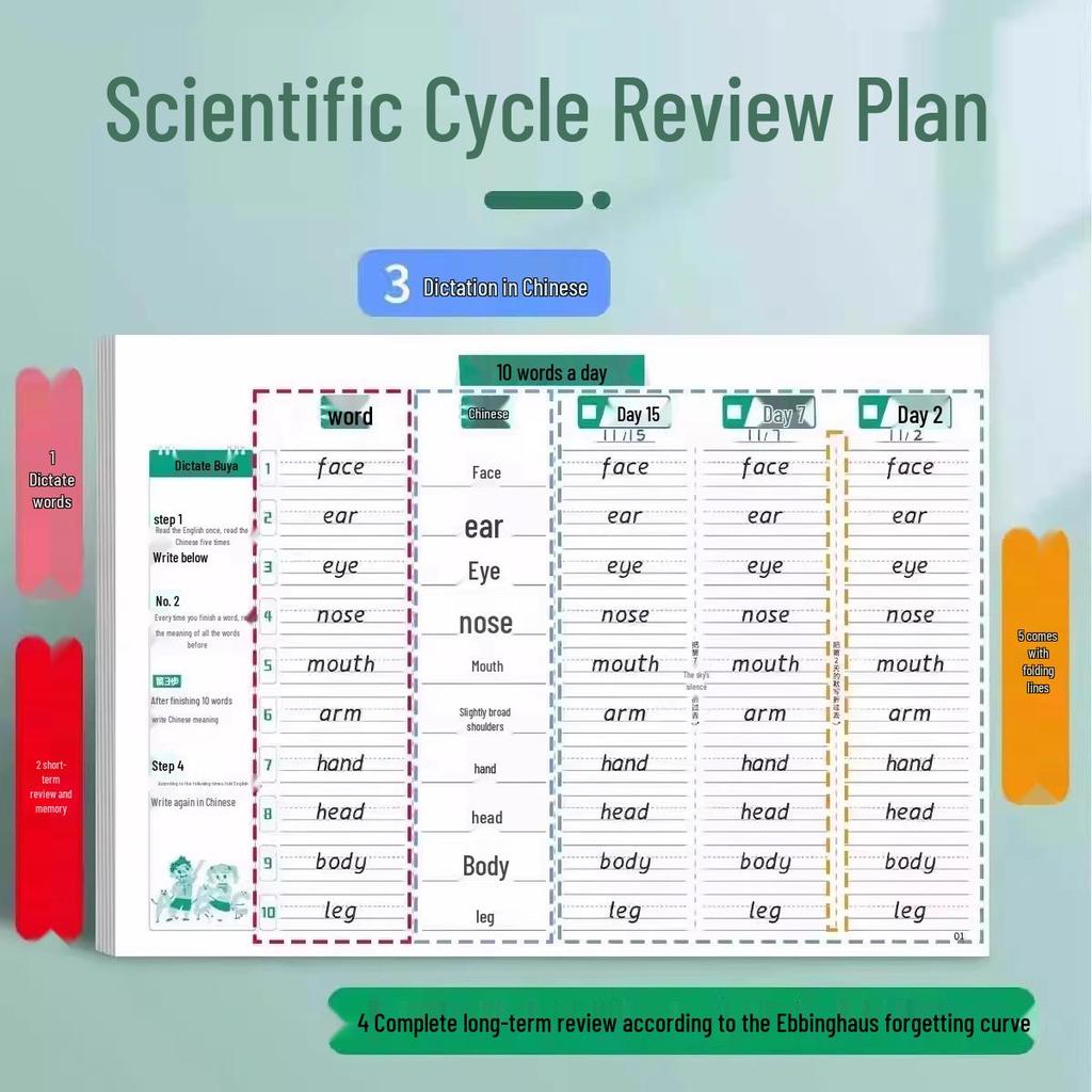 Metoda Mnemonică Ebbinghaus: Cuvinte zilnice de vocabular englez și carte de dictare