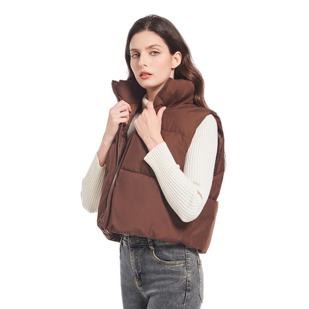 New Winter Cotton Vest For Women, Loose Korean Style Simple Stand Collar Short Sleeveless Jacket, Casual Versatile Outerwear