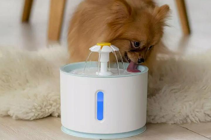 Fountain Drink For Cat Dog Bowl Automatic Drinker Led Silent + Filter