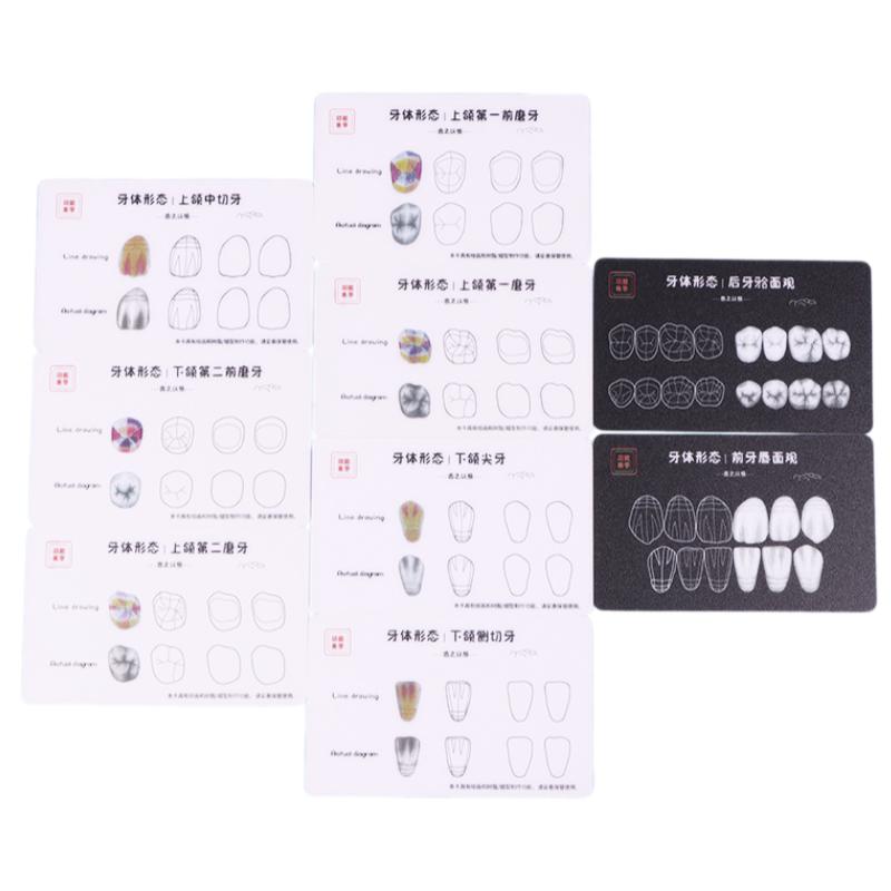 1box Dental Tooth Morphology Practice Card Resin Stacking Training Pad Dental Lab Teaching Tool Dental Students Auxiliary Tool