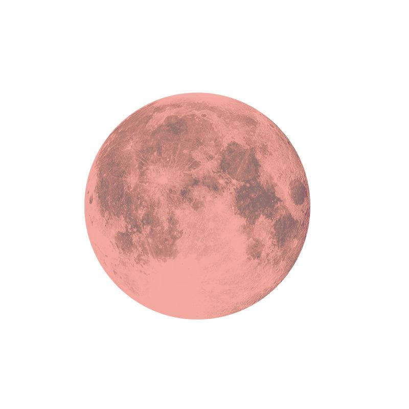 Luminous Moon Castle Bat Wall Sticker - Glowing Fluorescent Decor for Children's Living Room.