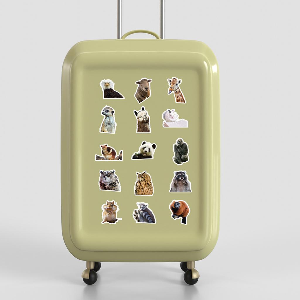 50 Cute Animal Expressions Graffiti Stickers Water Cup Suitcase Waterproof Decorative Stickers Cartoon Animal Stickers