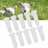 10pcs Lamb Special Nipple Teats Replacement Goats Sheep Cow Milk Bottle Bucket Nipple