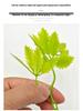 Bifurcate Maple Leaf Aquatic Plant Plastic Decor: Green Simulation Grass, Flower, and Leaves for Cake and Hotel Decoration.