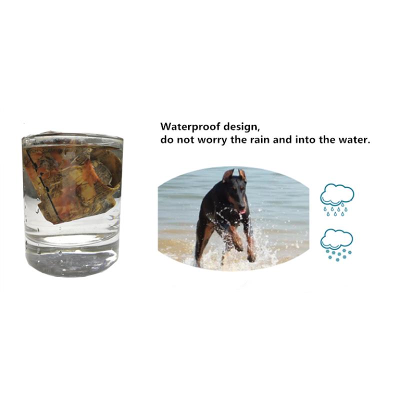 Outdoor Hunting and Dog Training Beeper Collar