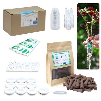 161Pcs Hydrokultur Wachsen System Kit Hydrokultur Pflanzung Maschine Set Soilless Anbau 30 Wachsen