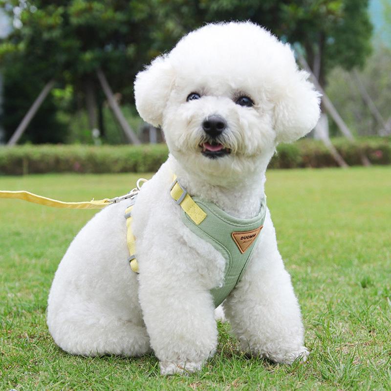 Adjustable Pet Dog Harness Breathable Puppy Harness Leash Set for Small Medium Dog French Bulldog Chihuahua Clothing Pet Supply