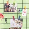 Clip per Sacchetti, Clip in Acciaio Rivestito in PVC per Uso Generale per Pacchi Alimentari, Sacchetti di Patatine, Vestiti, Carta, Confezione da 10, 2 Pollici