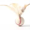 3PCS Cat Toy Exercise Ball with Feathers Lightweight Bounce Ball Interactive Entertainment Toy for Cat Active