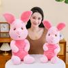 Piglet Pig Plush Toy With Soft Short Plush For Kids And Fans