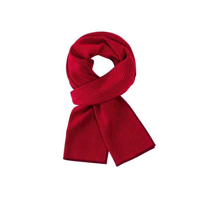 Navigare Men's Warm Striped Scarf