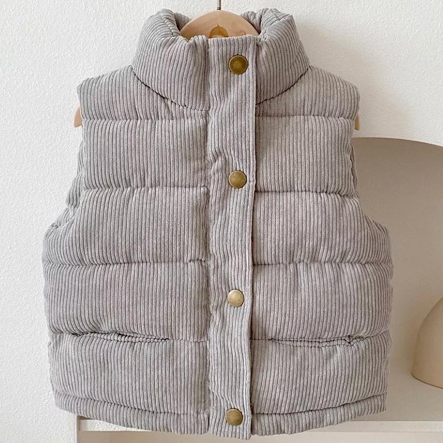 

Детский вельветовый утепленный жилет со стойкой, легкая безрукавная верхняя одежда на весну-осень, возраст 1–9 лет, розовый, серый, белый 100 (18M–2T) серый