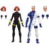 Hasbro (Hasbro) MARVEL Marvel Legends Series Black Widow & Quicksilver, 15 Cm Action Figure for “...