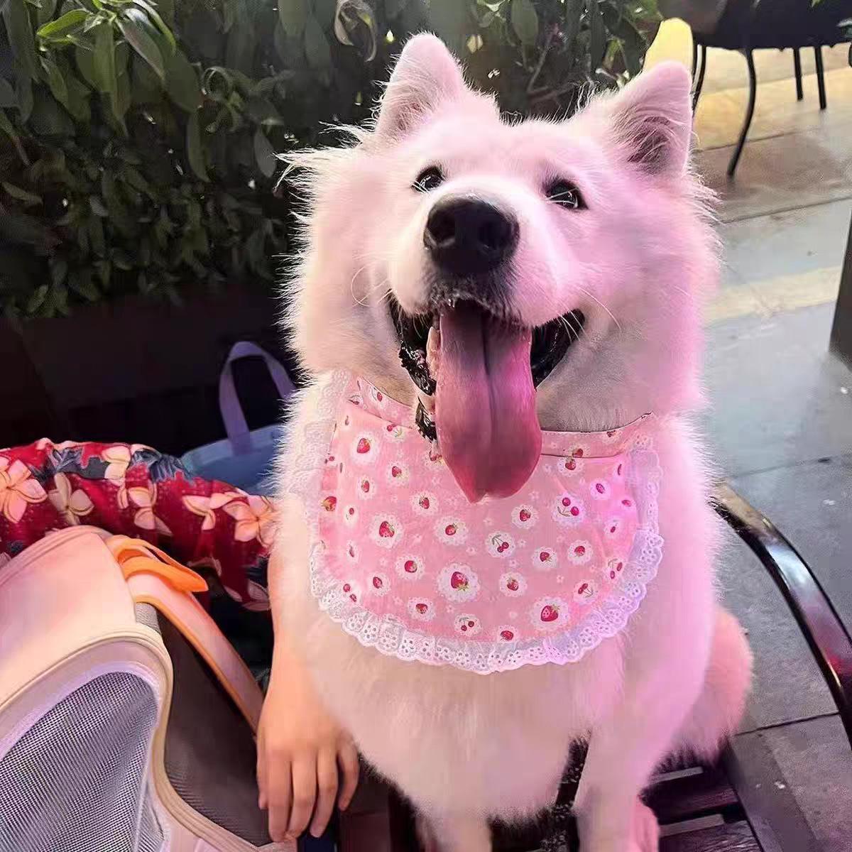 

Pet Dog Saliva Bib for Small to Large Dogs: Cute Scarf for Samoyeds, Golden Retrievers, Huskies, and Alaskans One Size