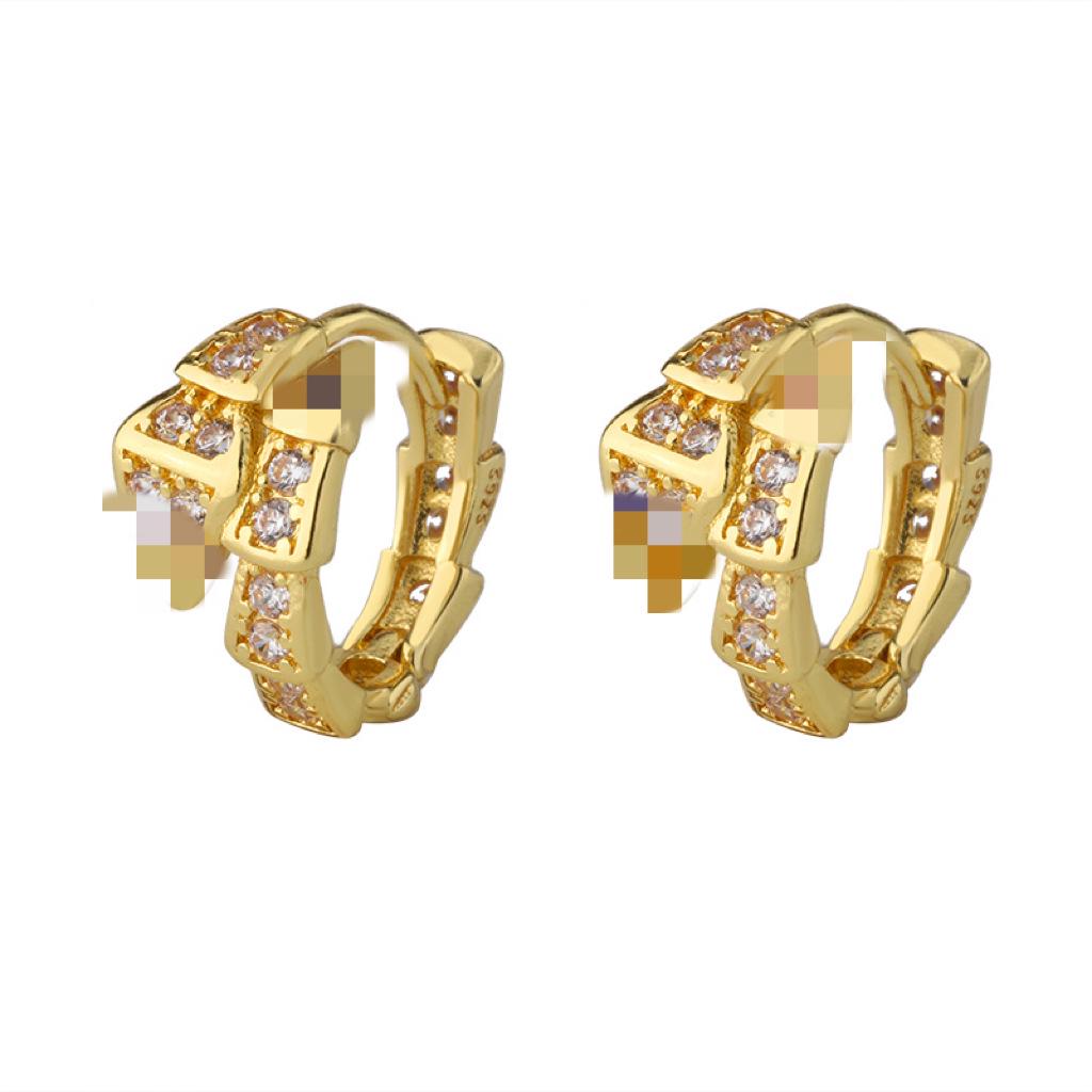 2023 Stylish Snake-Shaped Zircon Earrings: High-End, Luxurious Design for Women