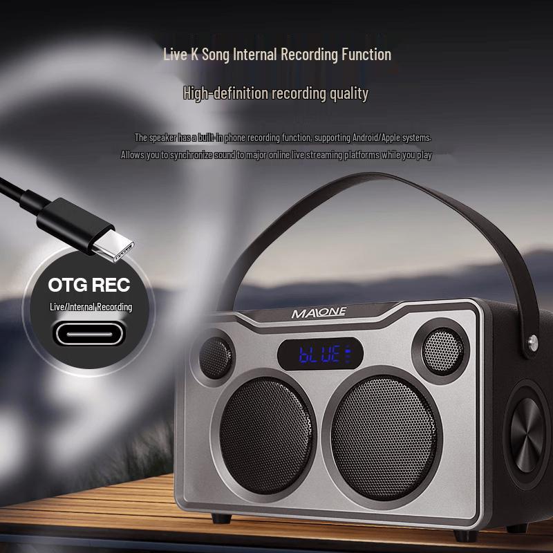 MALONE Portable Bluetooth Karaoke Speaker & Amplifier (CN version)