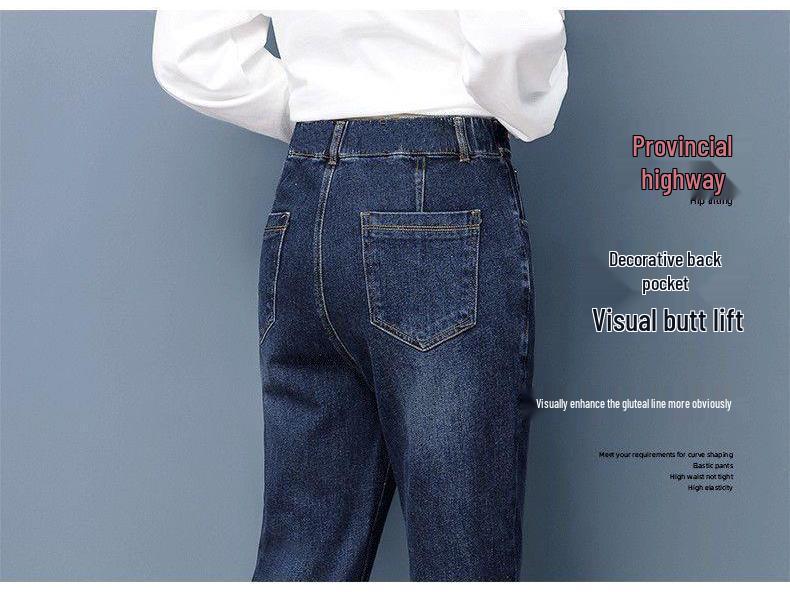 High-Waisted Elastic Women's Dad Jeans: 2025 Winter/Autumn, Plus Size, Loose, Versatile, Slimming Harem Pants