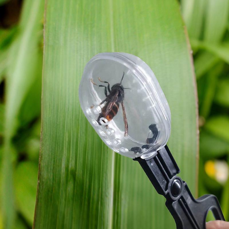 

Queen Bee Catcher Cage Clips Beekeeping Tools Reusable Queen Bee Catcher Lightweight Catching Tool Swarm Traps For Outdoor China Mainland