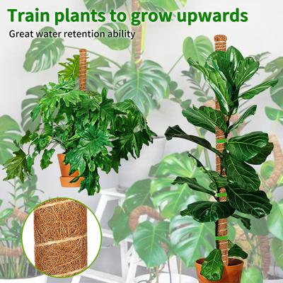 Polo de Musgo Para Plantas Monstera, Polos de Musgo Flexíveis de Polegada de Altura Para Plantas Trepadeiras de Interior, Hastes Grandes de Polo para Plantas Feitas à Mão