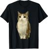 Katze Eule Verflucht Internet Lustig Gehirnfäule Meowl Meme T-Shirt