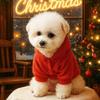 PETCIRCLE Christmas Pet Clothes Dog Cat Festive Apparel Holiday Outfit