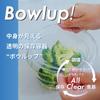 HARIO Bowlup Heat-Resistant Glass Storage Bowl 350ml X 2-Piece Set, Clear BLP-2018-T