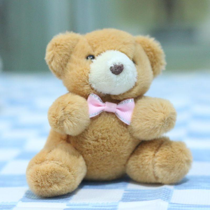 Niedlicher Teddybär Plüschtier Schlüsselanhänger Entzückender Cartoon Bär Anhänger zum Aufhängen für Taschen und Schlüssel