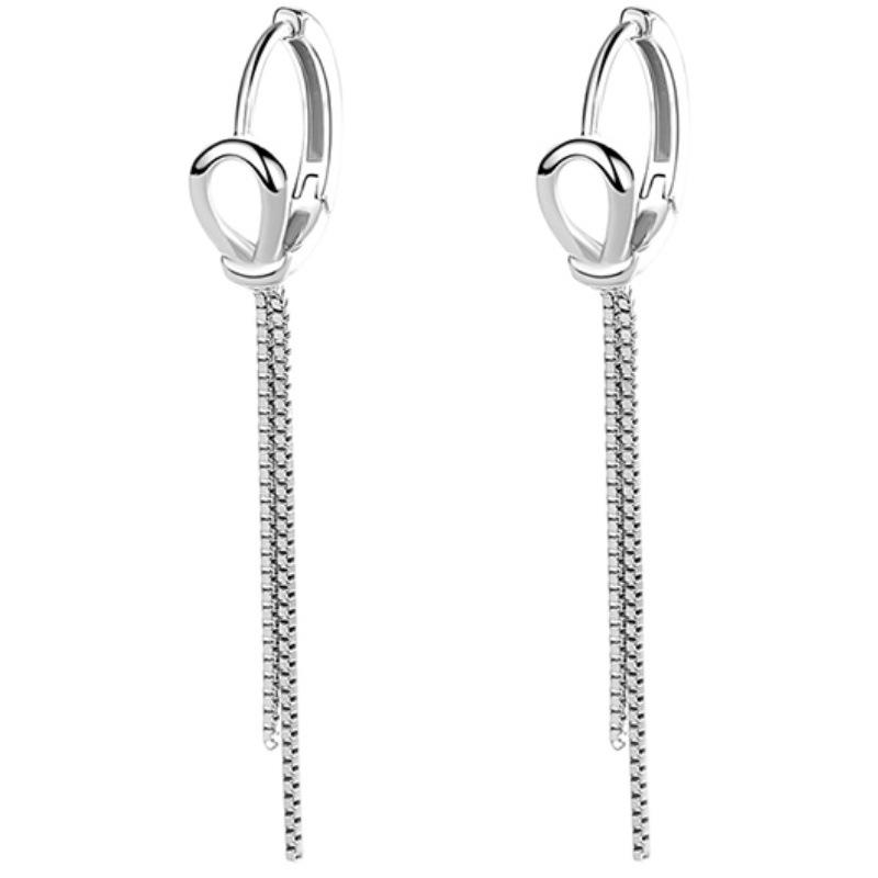 Tassel S925 sterling silver earrings women's long chain personalized earrings niche design advanced cold wind