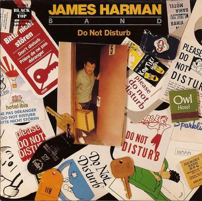 CD JAMES HARMAN BAND - Do Not Disturb CDBT1065 Black Top Recor 1991 US Blues Begagnad