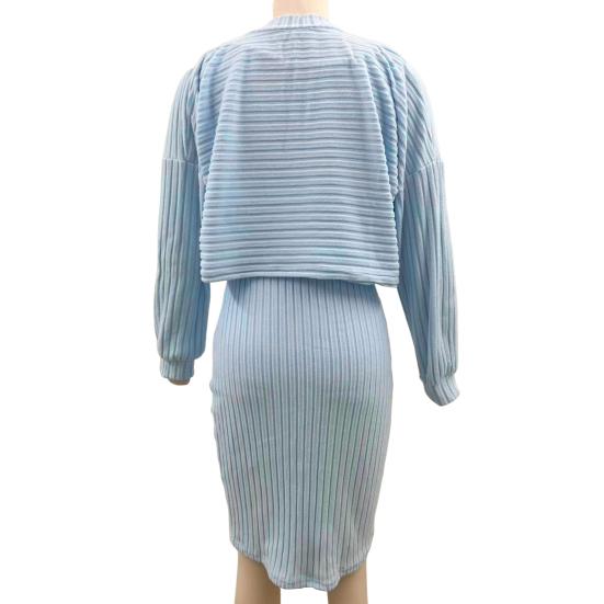 2 Stück/Set Damen Oberteil Kleid Anzug Stehkragen Faden Langarm Pullover