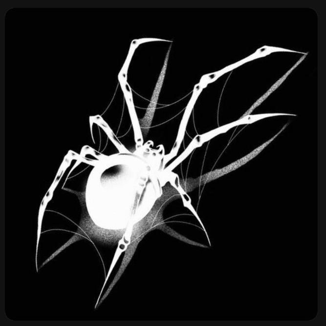 Spider Muay Thai Kick Boxing MMA Shorts Men Women Unisex Double Layer Quick Dry Breathable Sport Gym Fitness Workout