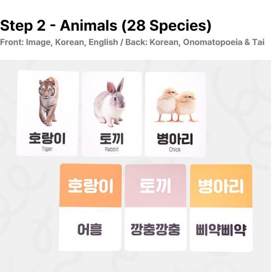 Atti Rabbit Vivid Pair Word Cards Korean and English Fruit and Animal 56 Cards
