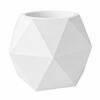 Hanging Flowerpot with White Geometric Plant Cover