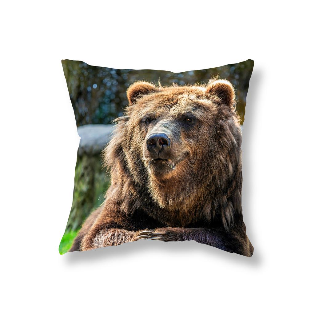 Cute Big Bear Pillowcase Animal Pillowcase Sofa Decoration Office Game Chair Cushion Cover Room Bedside Home Decoration