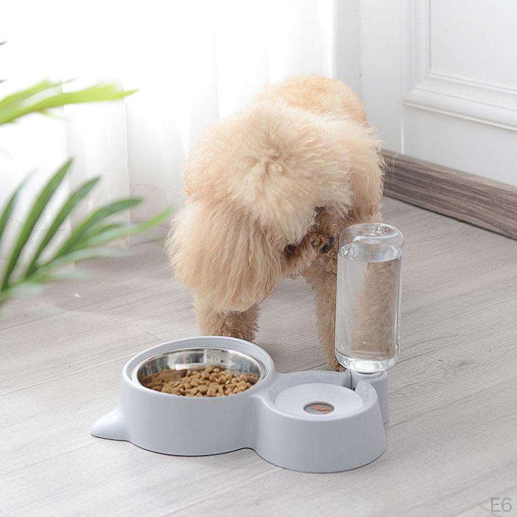 Bowl Pet Dishes, Feeder Feeding for Cats or Small Dogs Steel Double Bowls