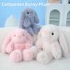 Creative And Adorable Plush Toys, Perfect For Holiday Gifts, Birthday Gifts, And Companionship Gifts For Children