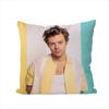 Singer Hharry Styles Pillow Case For Car Sofa Decorative Home Doublesided Print Plush Square Throw Pillow Cushion Cover