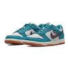 Nike Dunk Low SE Next Nature GS Toasty - Rift Blue Kids Sneakers Grey-Fog Sail Cave-Purple DC9561-400