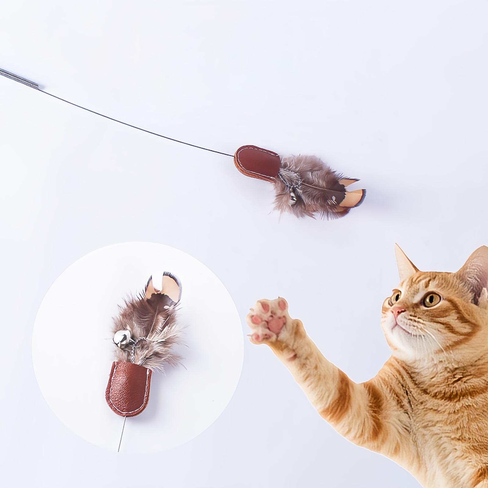 

Insect Feather Toys Replacement Toy Wand Refills, 6 Pieces Natural Insect Toy Feathers Refill, Interactive Teaser Wand Attachments, With Bell One Size