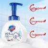 Safeguard Antibacterial Foaming Hand Wash 4-Pack