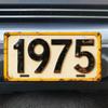 Car License Plate Metal Wall Decor 15x30cm