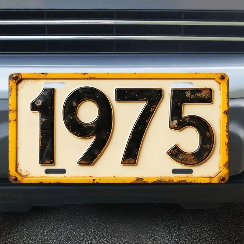 Car License Plate Metal Wall Decor 15x30cm