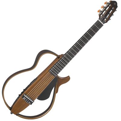 Guitarer, ukulele, mandoliner – Guitarer